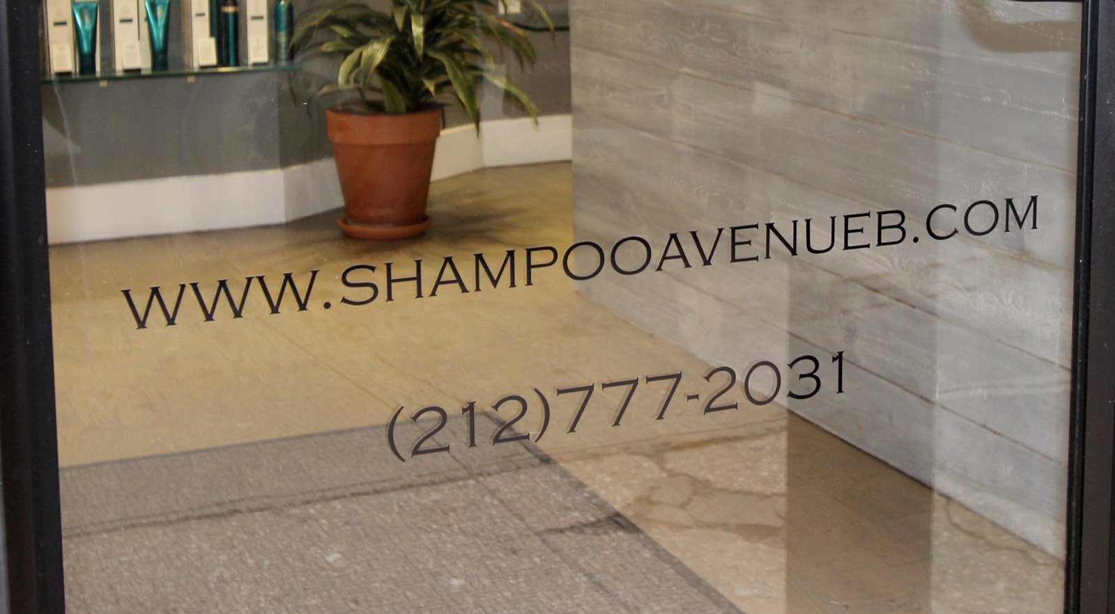 Shampoo Ave B Best East Village Hair Salon Balayage Ombre NYC